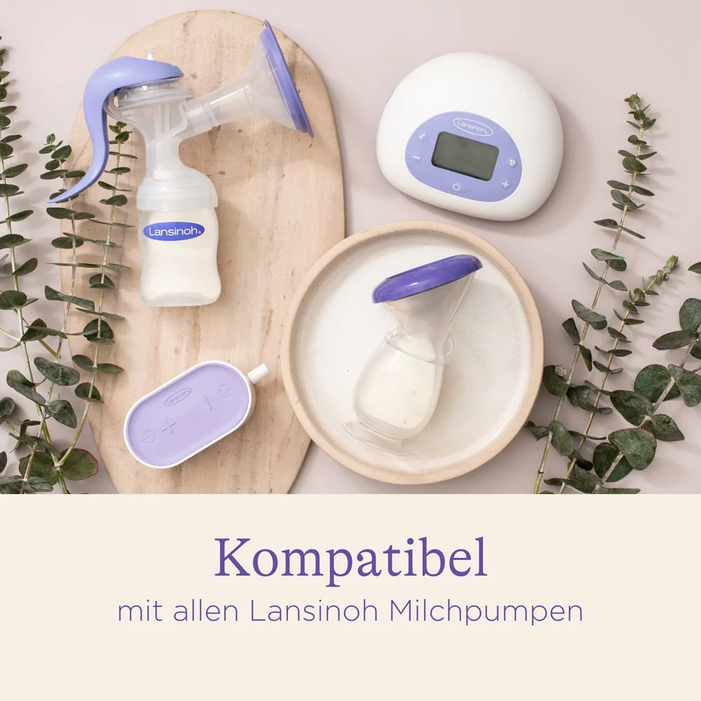 Vorschaubild 6