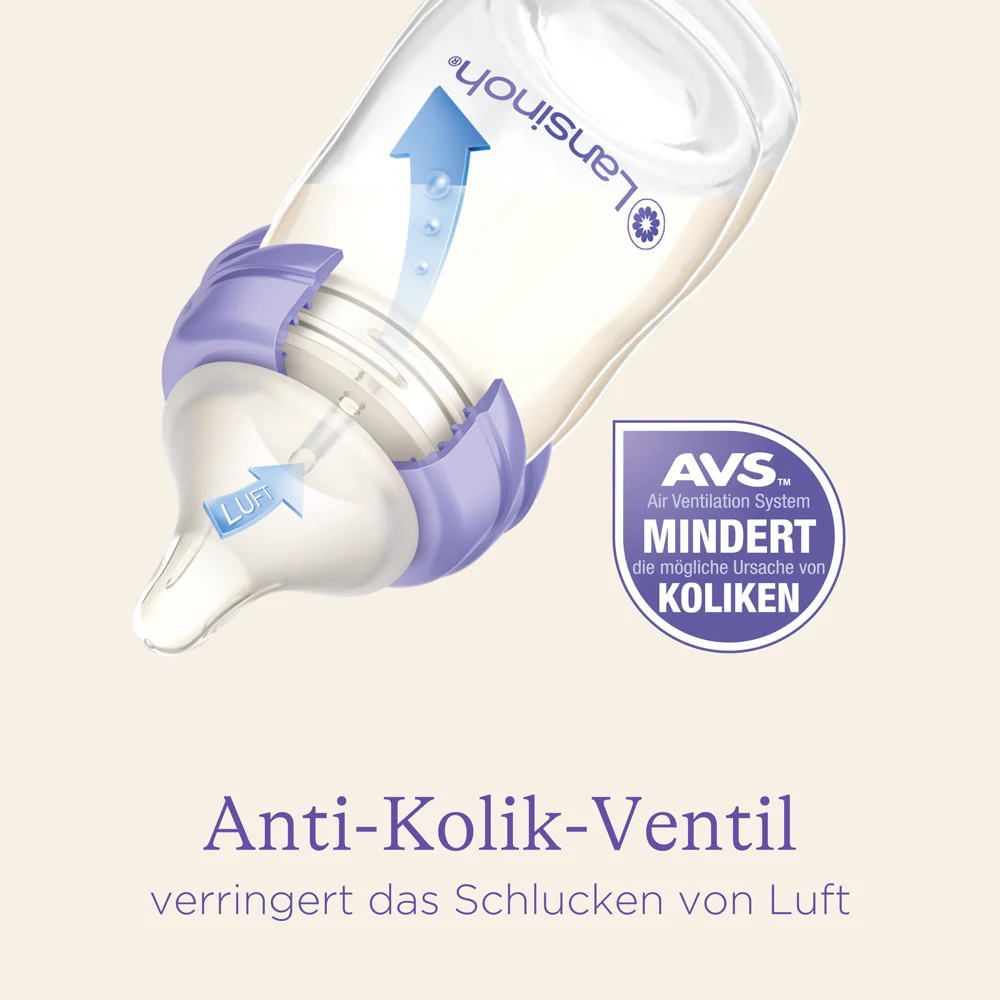 Vorschaubild 6