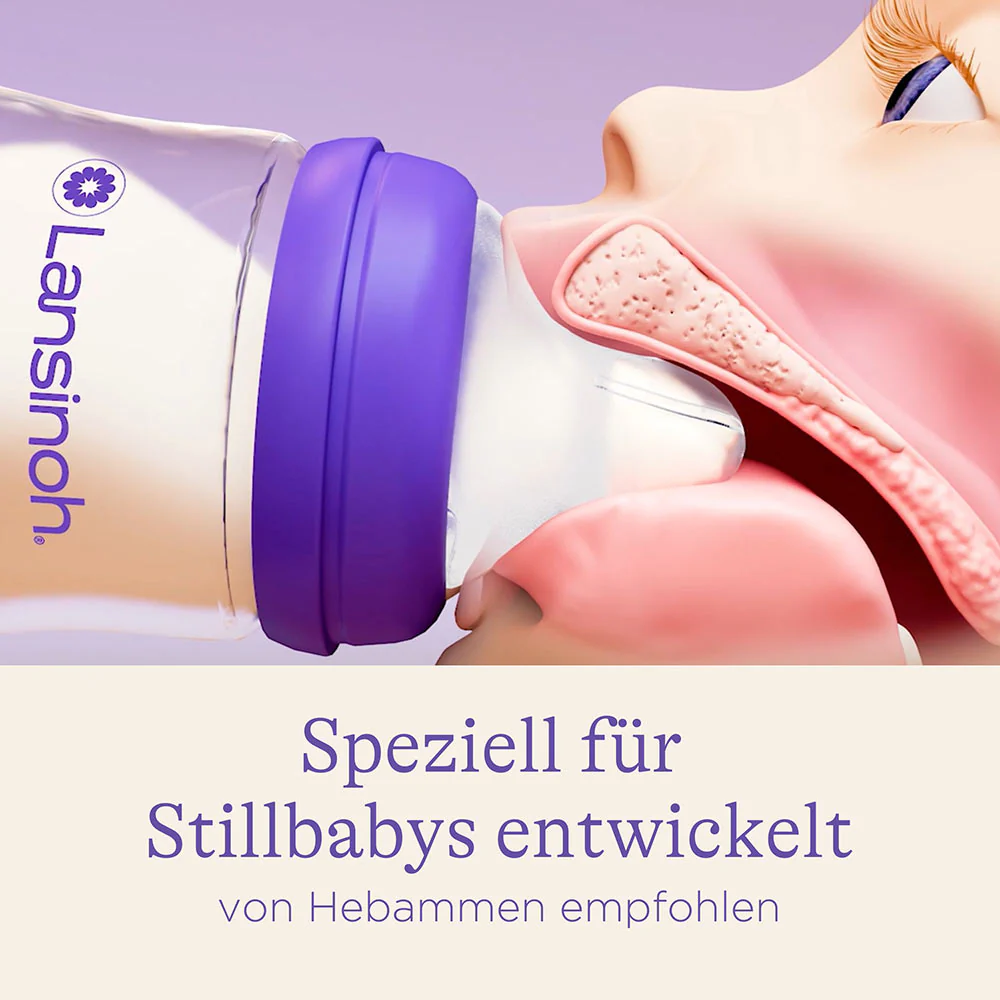 Vorschaubild 4