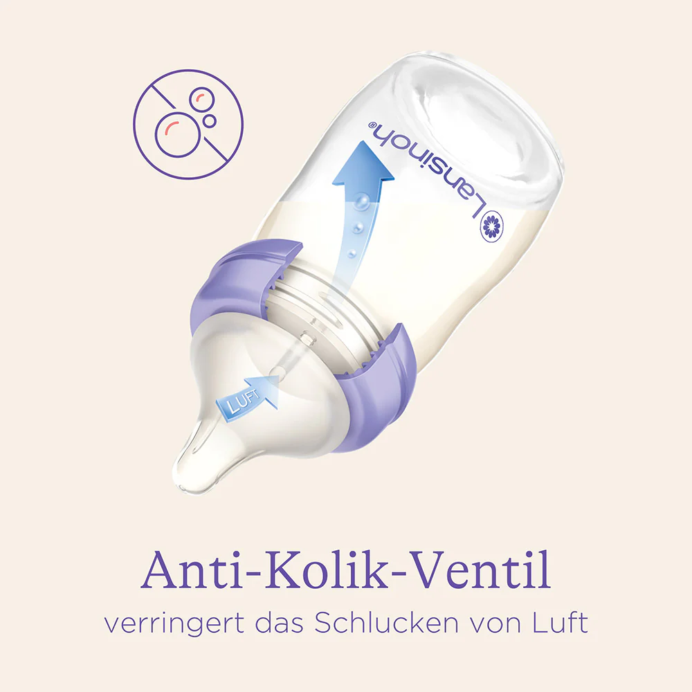 Vorschaubild 6