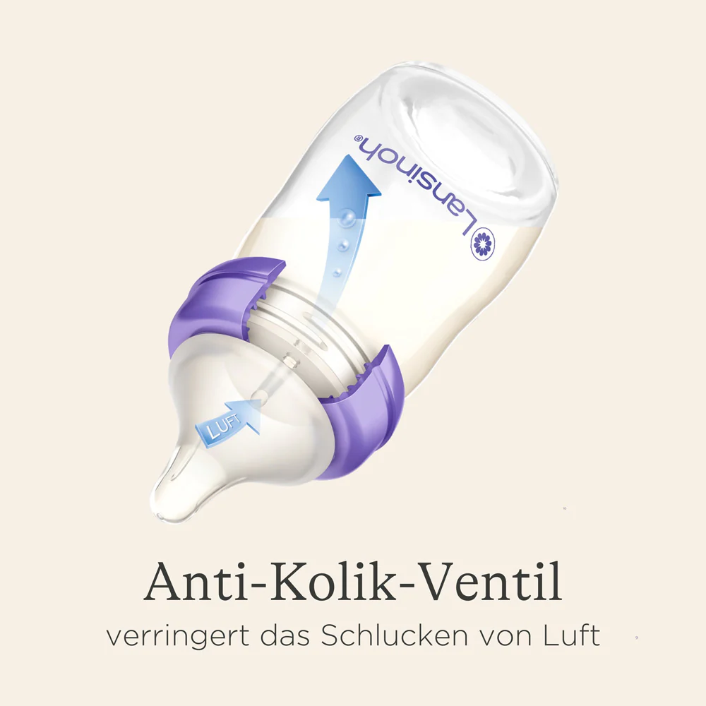 Vorschaubild 6